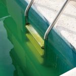 Piscina con agua verde