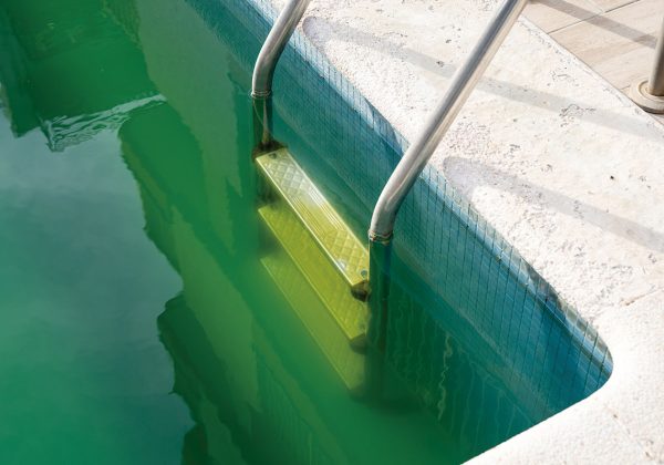 ¿Agua verde en tu piscina?